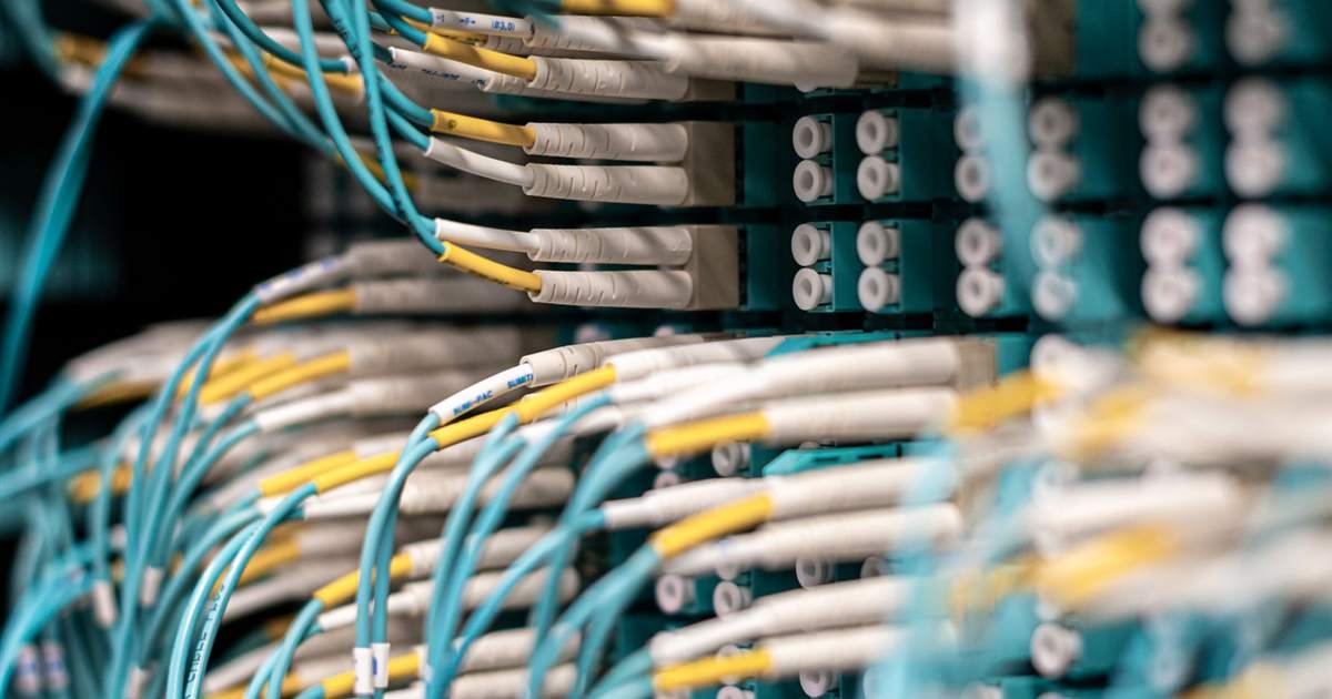 Rows of network cables plugged into a server patch panel